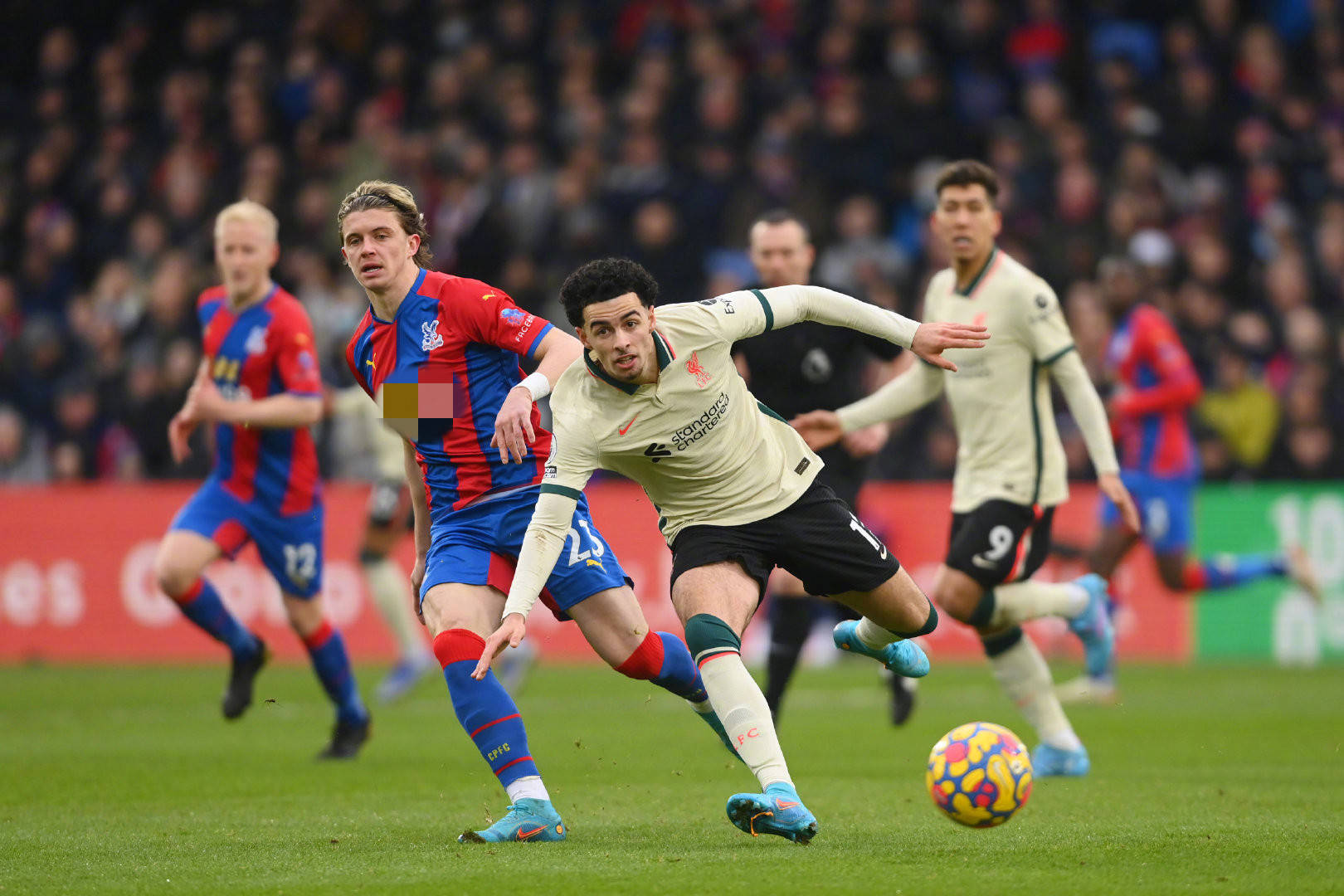 尤其是在沙 尤其是在沙